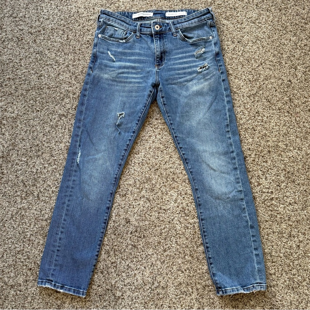 Anthropologie Pilcro Slim Boyfriend Blue Jeans
